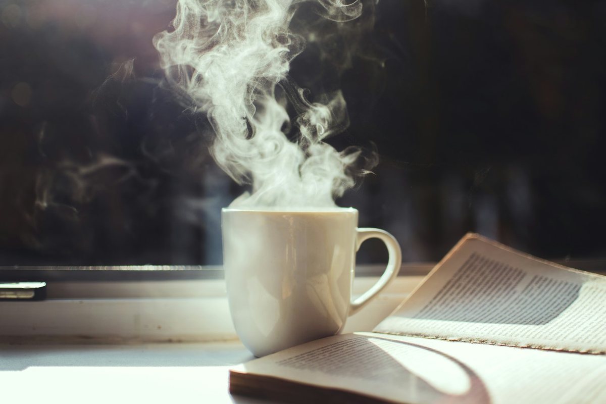 A cup of coffee and an open book on a sunlit windowsill