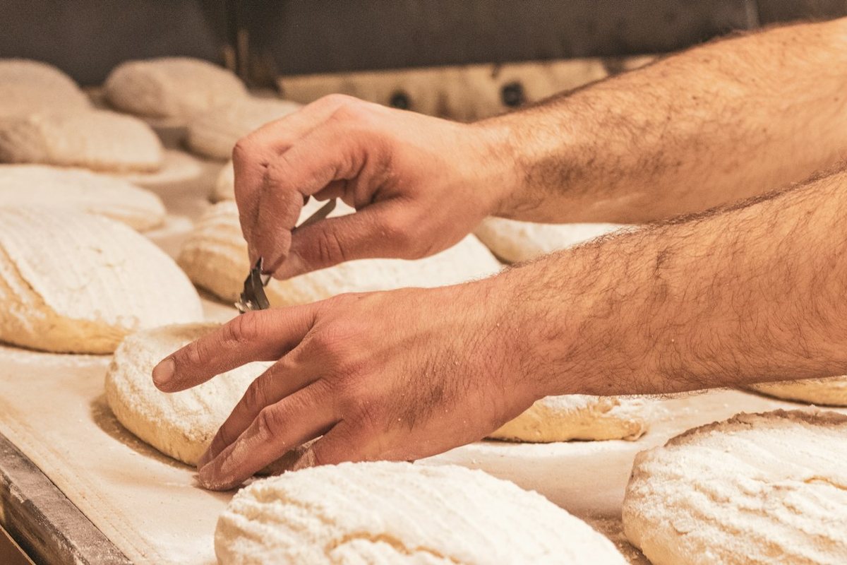 A baker scoring bread dough on a floured work surface