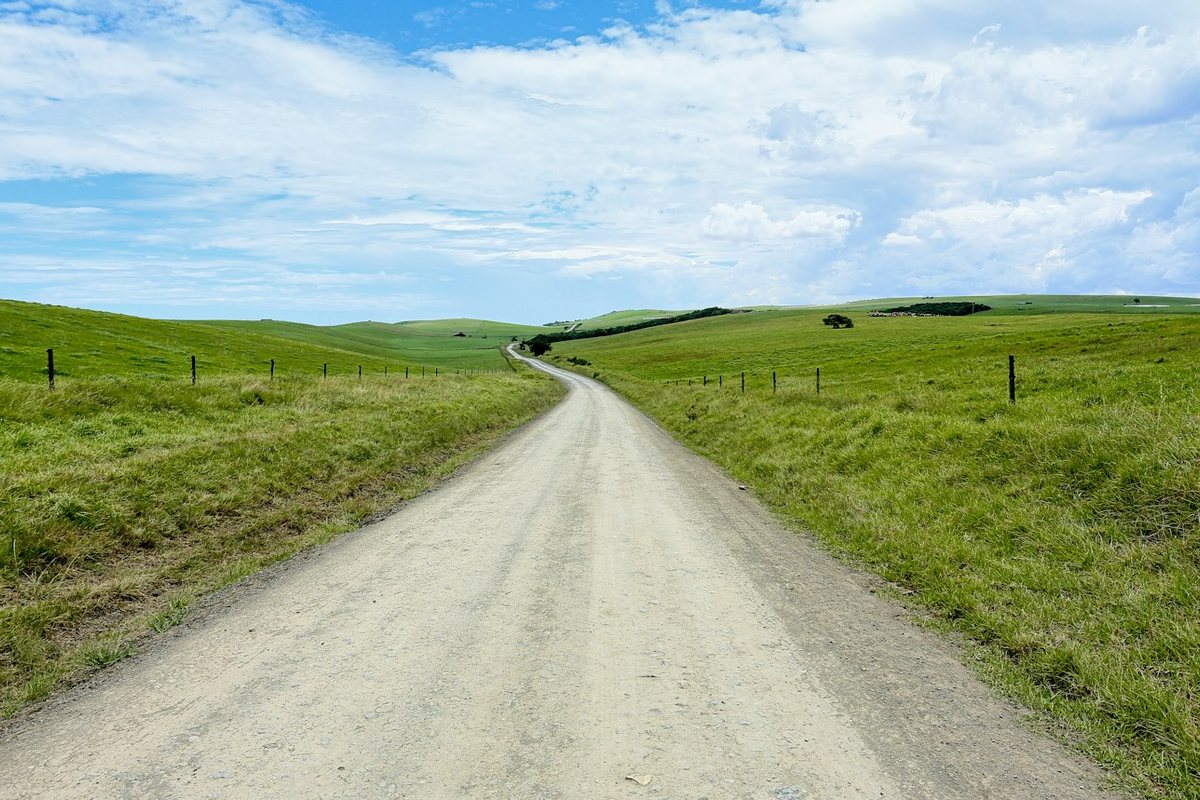 a dirt road in a field